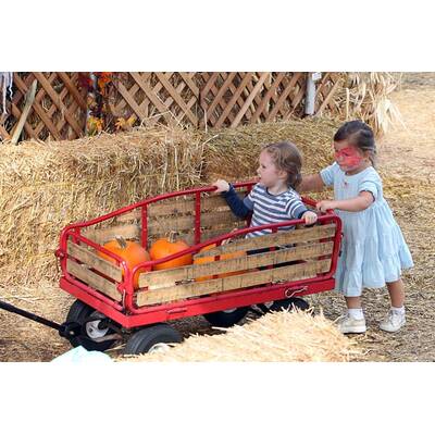 Kürbisse für Klein und Groß in Hollywood