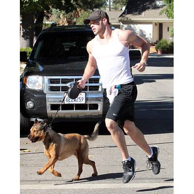 Hollywood im Jogging-Fieber