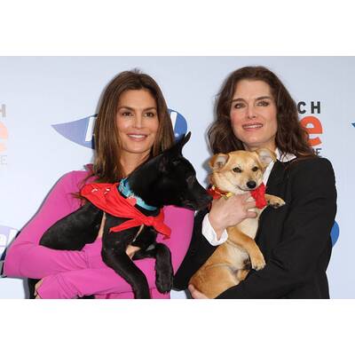 Brooke Shields: Ihre besten Bilder