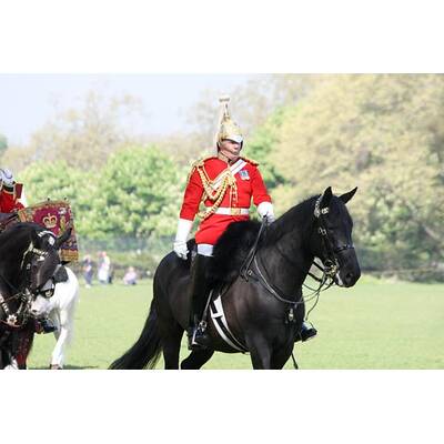 Royal Horse Guard probt für die Hochzeit