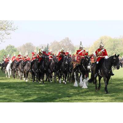 Royal Horse Guard probt für die Hochzeit