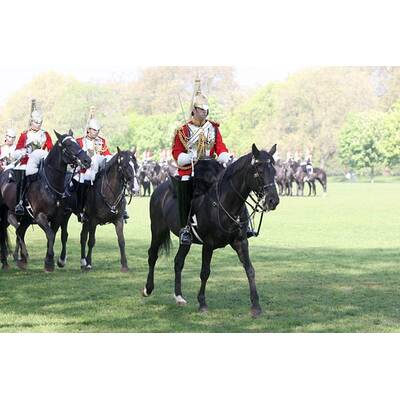 Royal Horse Guard probt für die Hochzeit