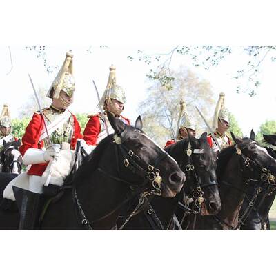 Royal Horse Guard probt für die Hochzeit