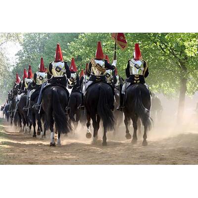 Royal Horse Guard probt für die Hochzeit
