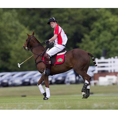 Prinz Harry beim Polo