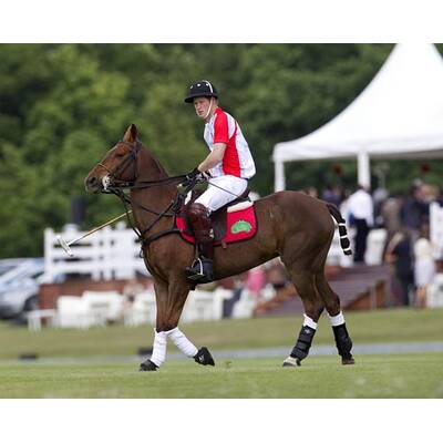 Prinz Harry beim Polo