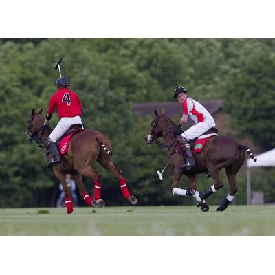 Prinz Harry beim Polo