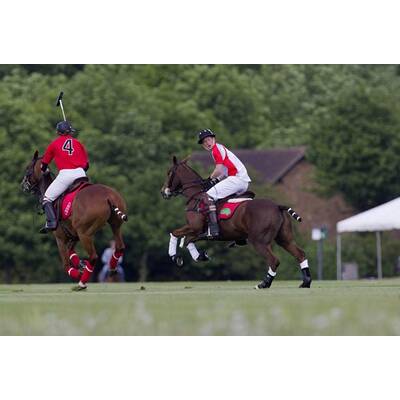 Prinz Harry beim Polo