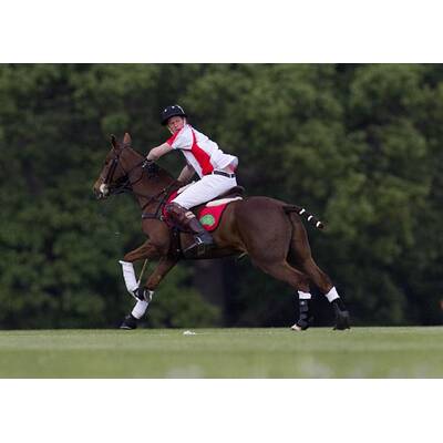 Prinz Harry beim Polo