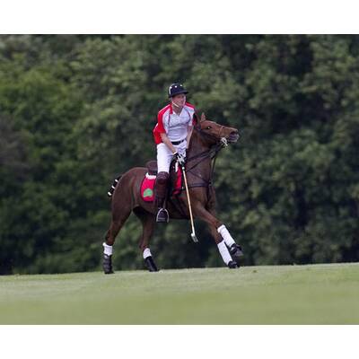 Prinz Harry beim Polo