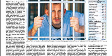 060807_austria_diepresse