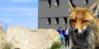 Sperrgebiet im Mittelburgenland
