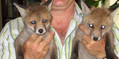 Sperrgebiet im Mittelburgenland