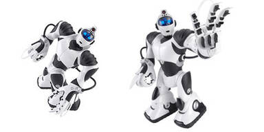 Robo-Spielzeug mit Hirn