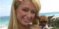 060811_hilton_paris_tinkerbell_AP