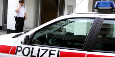 060828_polizei_blaulicht_apa