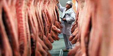 060905_gammelfleisch_APA