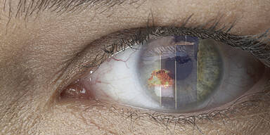 Wie Österreicher den Tag erlebt haben