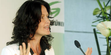 Grüne schlagen ihr Ökosteuer-Modell vor