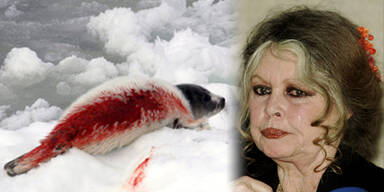 060928_bardot-neu_AP