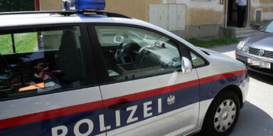 061004_polizeiauto_HIRES