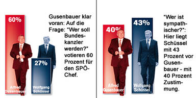 60 Prozent wollen Gusi, Schüssel sympathischer