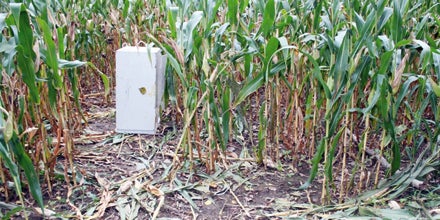 Bankomant-Räuber 2010