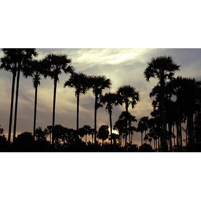 (c) Kalari Kovilakom