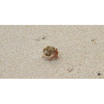 Bilder von den Andamanen