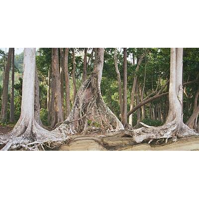 Bilder von den Andamanen