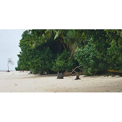 Bilder von den Andamanen