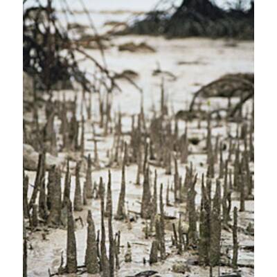 Bilder von den Andamanen