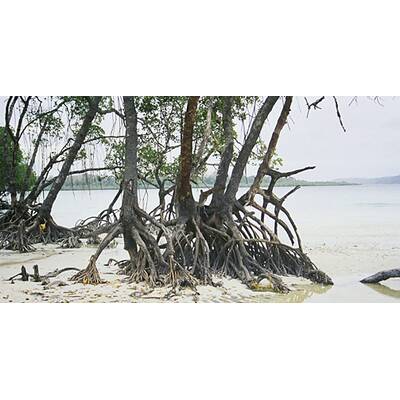 Bilder von den Andamanen