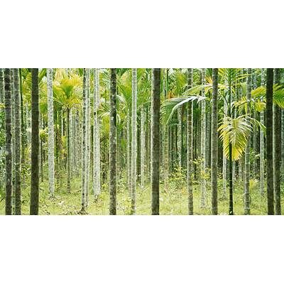 Bilder von den Andamanen