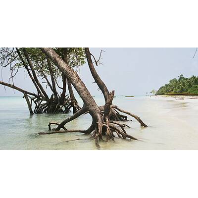 Bilder von den Andamanen