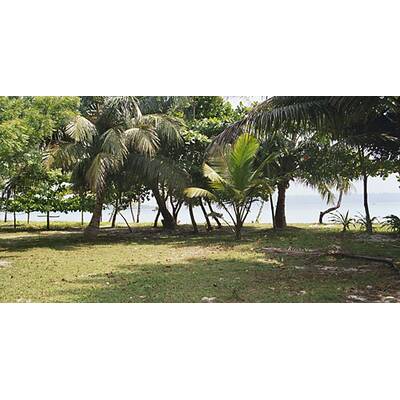 Bilder von den Andamanen