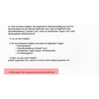 Der Fragebogen im Detail