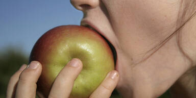 061110-apfel-stock-xchng