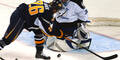 061121_nhl eishockey thomas vanek_AP