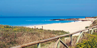 Jetzt buchen, ein Drittel sparen