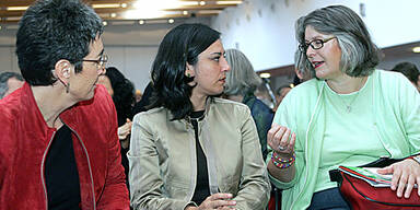 061208_lunacek_grüne_apa