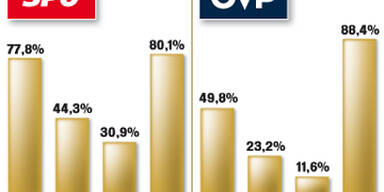 Der große Politiker-Check