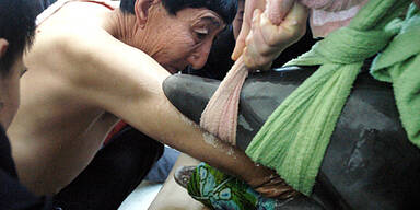 Mann mit längstem Arm der Welt rettet Delfine