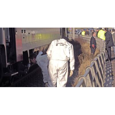 (C) APA/DIETMAR STIPLOVSEK