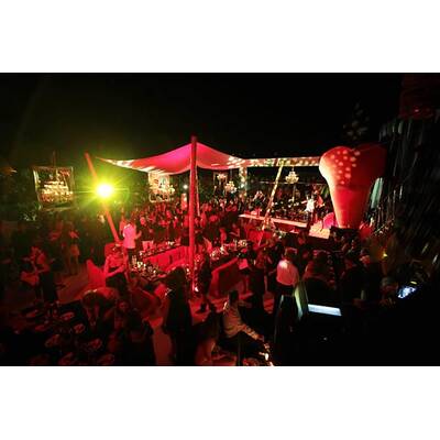 Fiona Swarovski feiert auf Luxusparty in Milliardärsclub