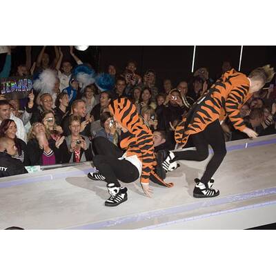 Promis im TV-Gefängnis: Celebrity Big Brother