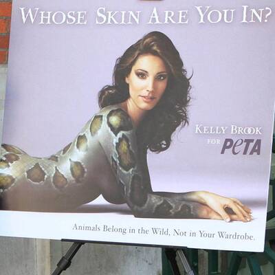 Kelly Brook enthüllt ihre Peta-Kampagne