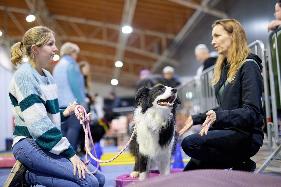 Hunde, Katzen und Exoten erobern die Marx Halle