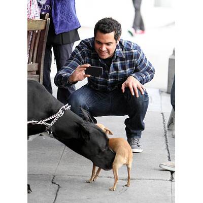 Jessica Alba: Weihnachts-Shopping mit ihren süßen Mädchen