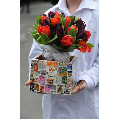 Herzogin Kate: Edler Auftritt in Grundschule